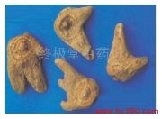 成飞中药行中成药产品相册图片介绍